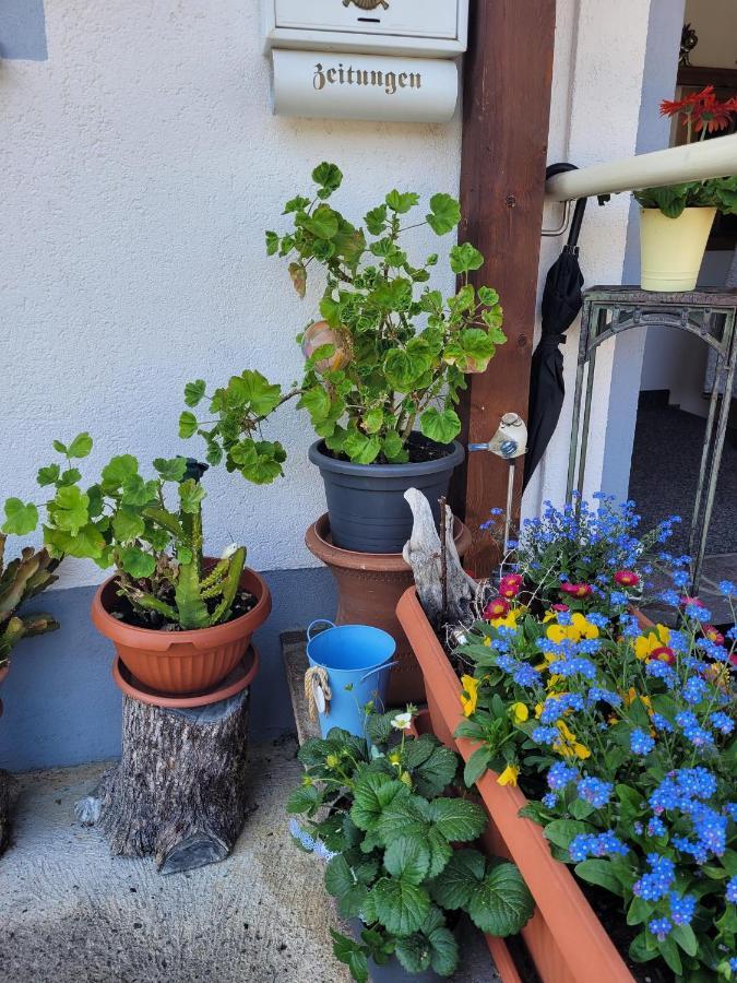 Ferienwohnung Schatz Breitenwang Exterior foto